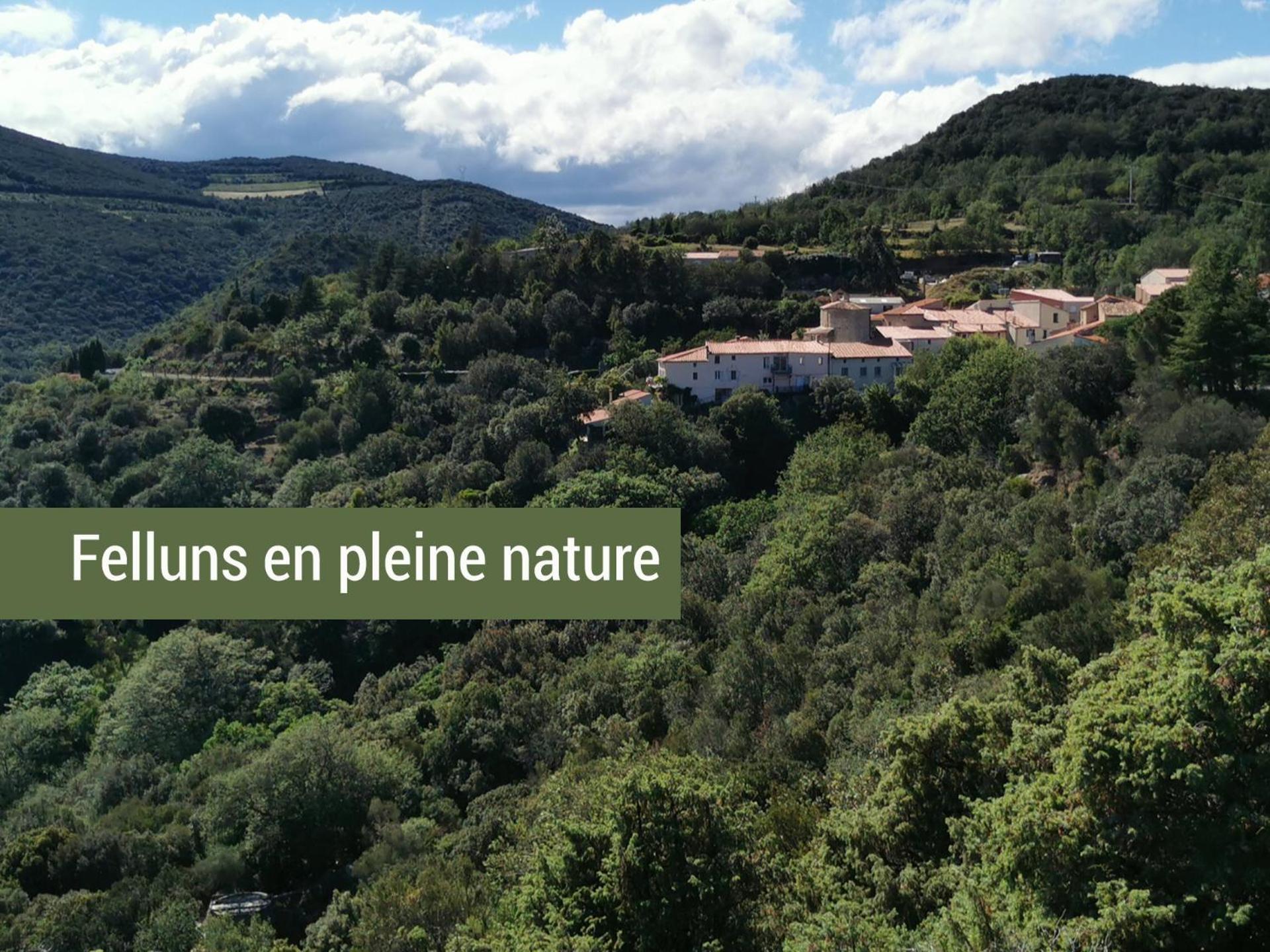 Pyrenees Mon Amour Felluns Экстерьер фото